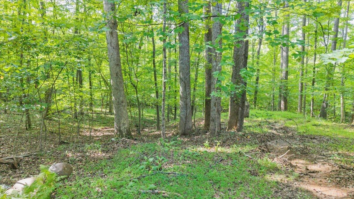 4562 Airport RD - Photo 58