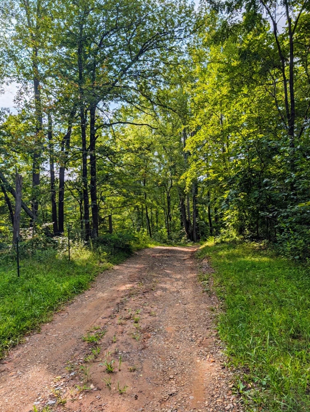462 Rock Ridge RD - Photo 2