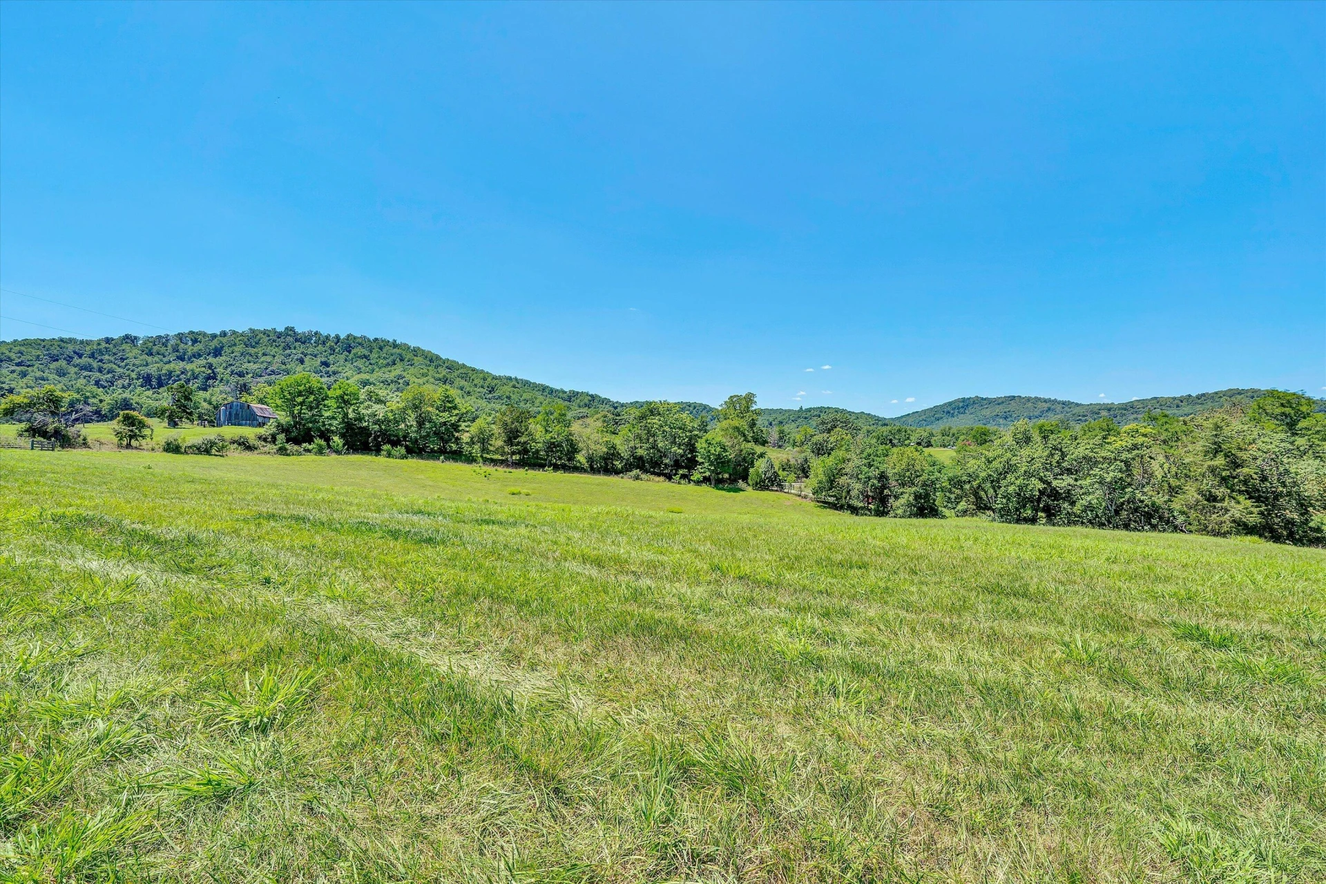 1237 Cochese DR - Photo 67