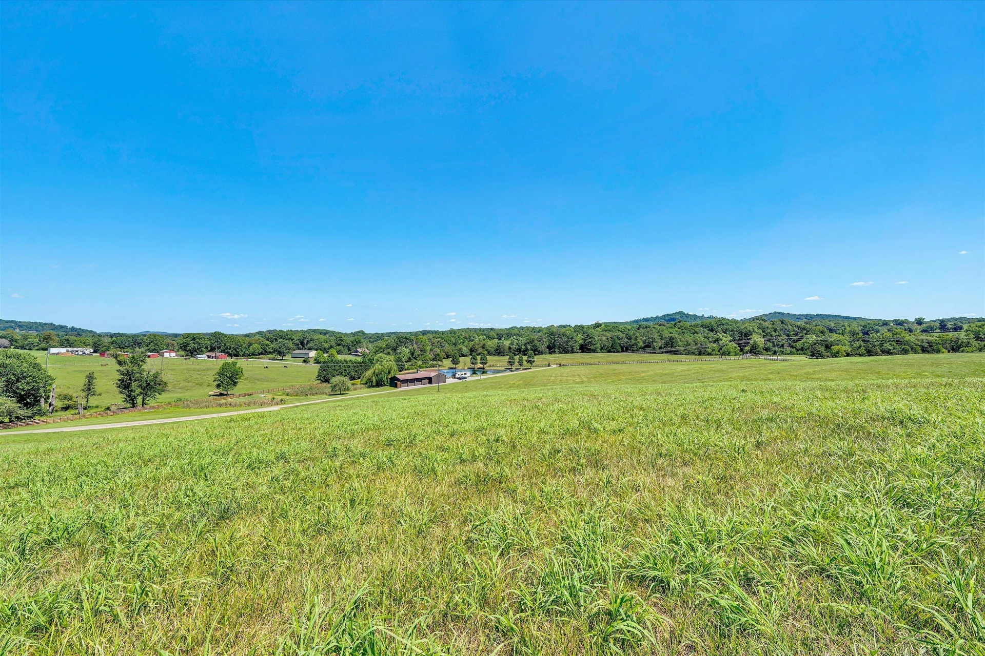 1237 Cochese DR - Photo 68