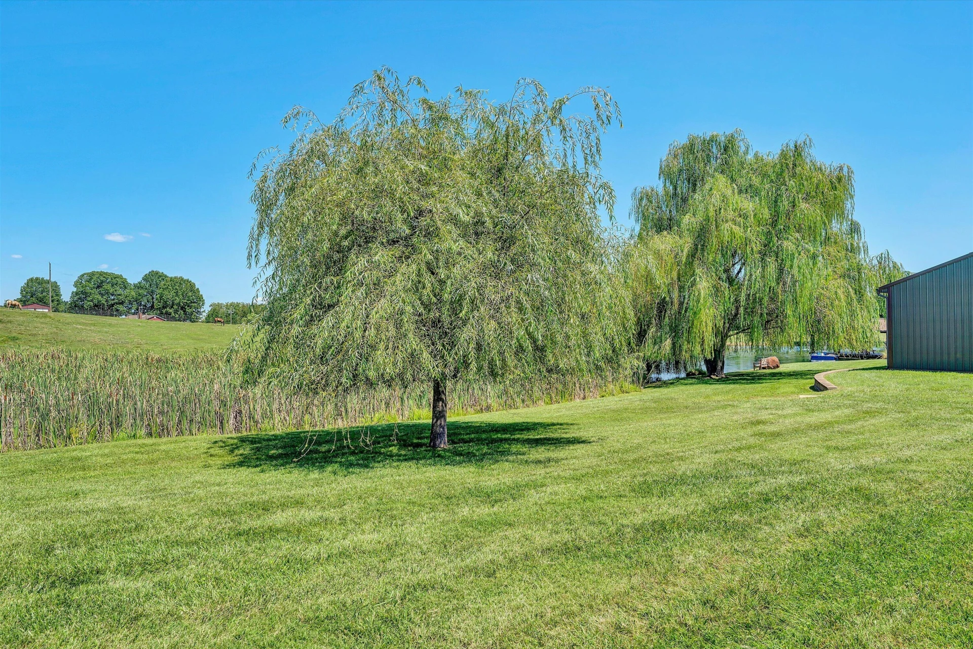 1237 Cochese DR - Photo 72