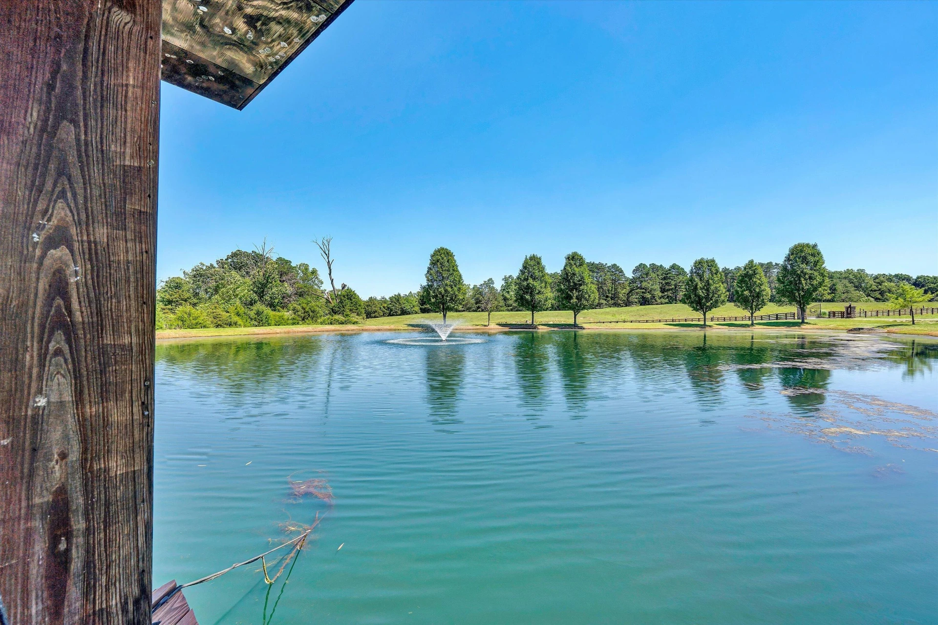1237 Cochese DR - Photo 98
