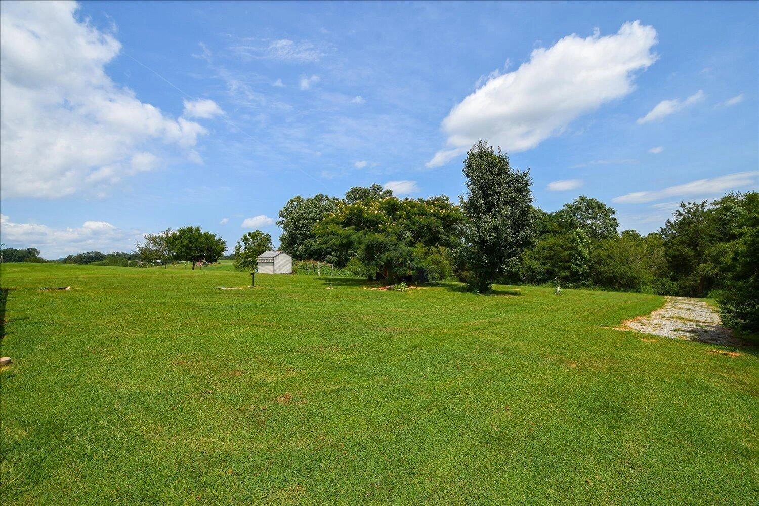 540 Nursery RD - Photo 29