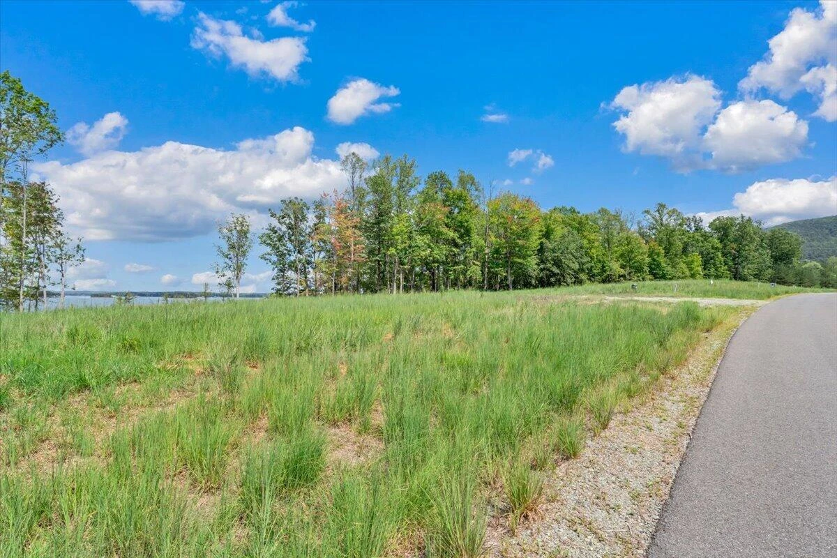 Lot 13 Sanctuary Pointe DR - Photo 28