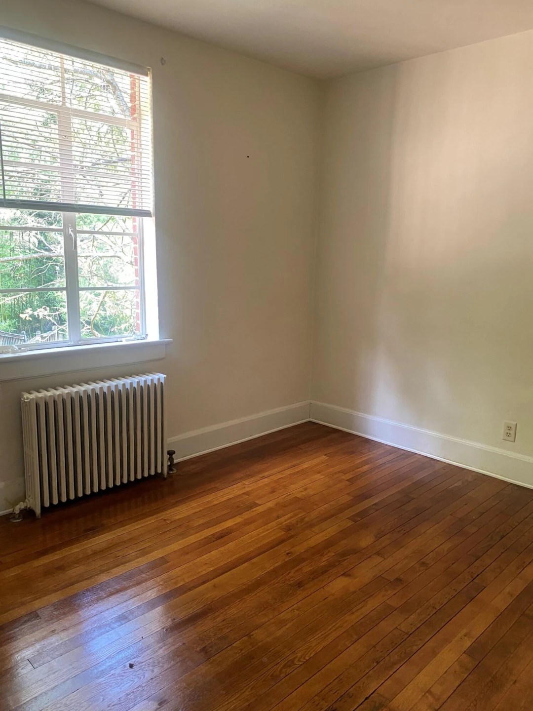 4709 Colonial AVE - Photo 13