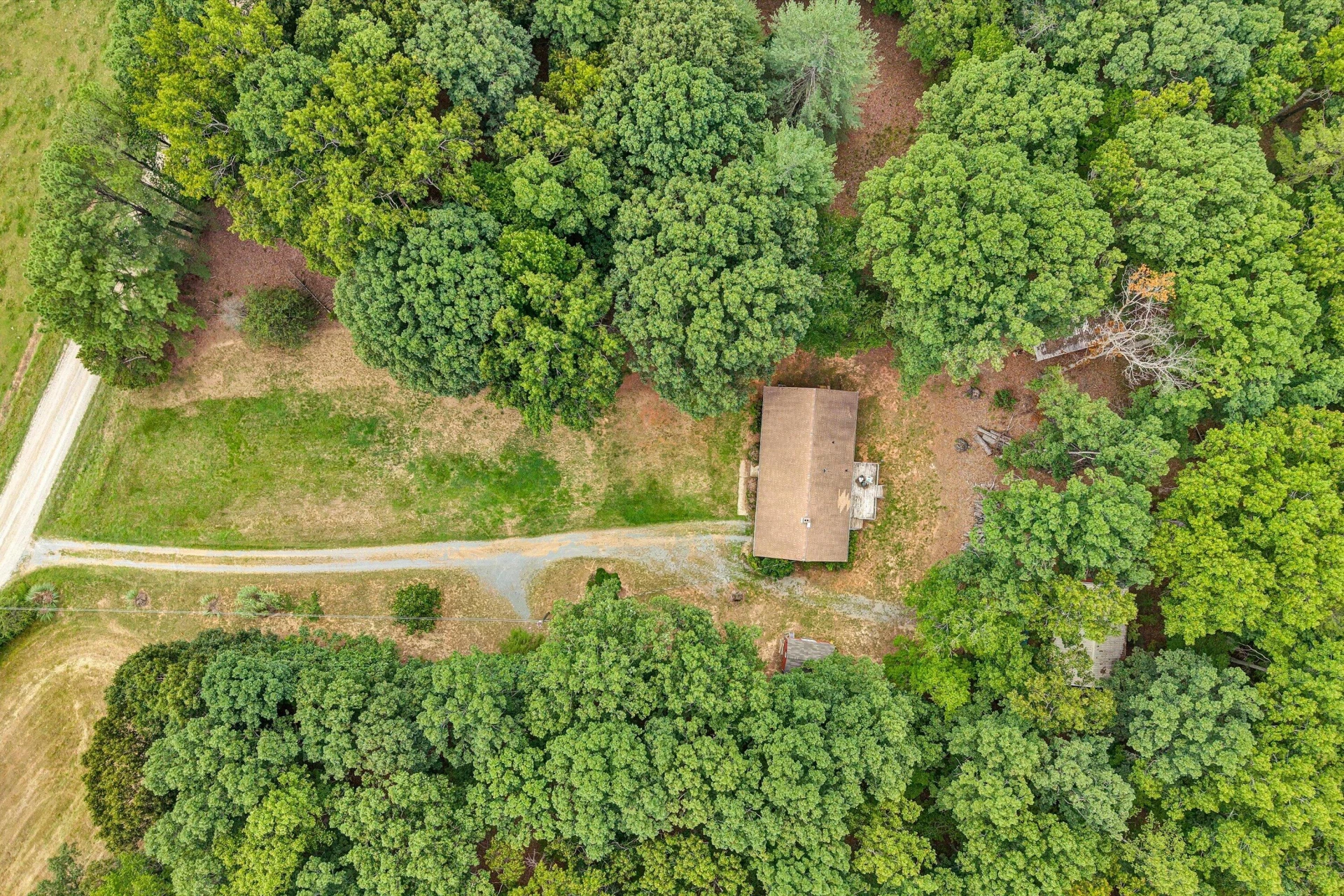 1617 Lonely Hollow RD - Photo 3
