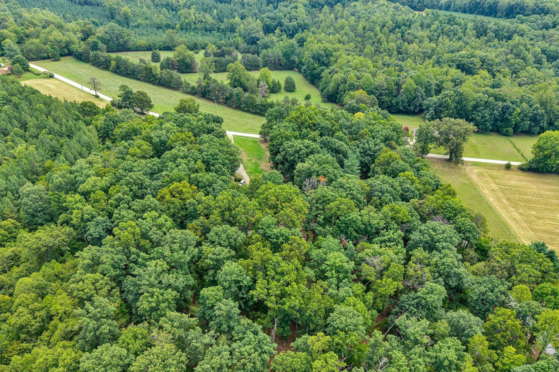 1617 Lonely Hollow RD - Photo 31