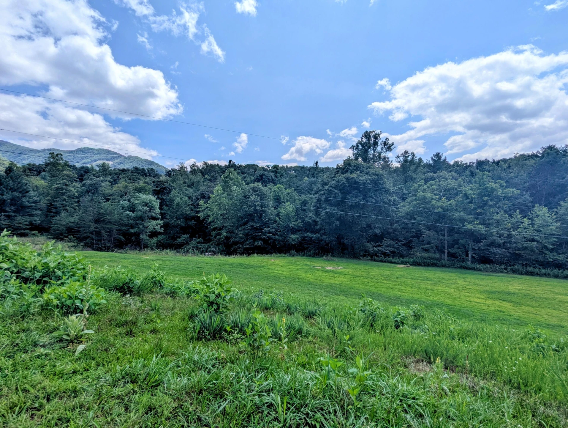 5404 Coles RD - Photo 3