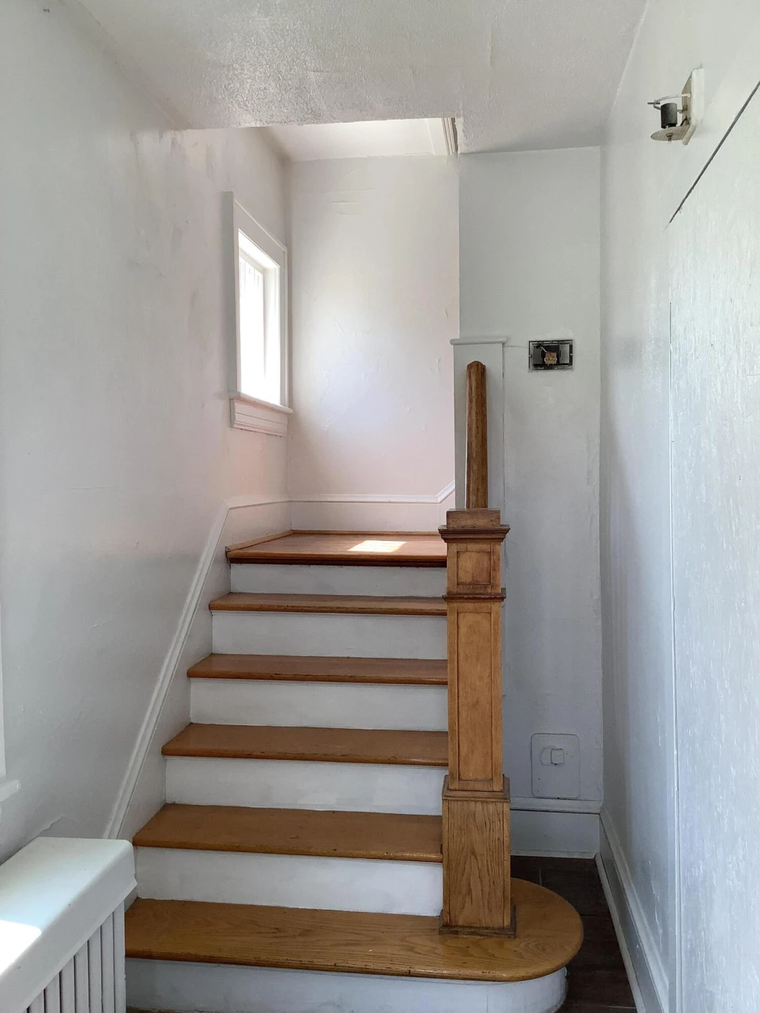 3412 Williamson RD NW - Photo 9