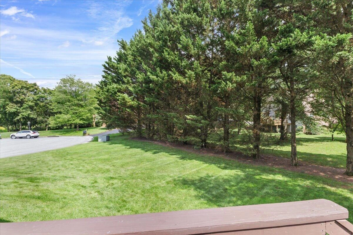 7789 Hollins Court DR - Photo 51