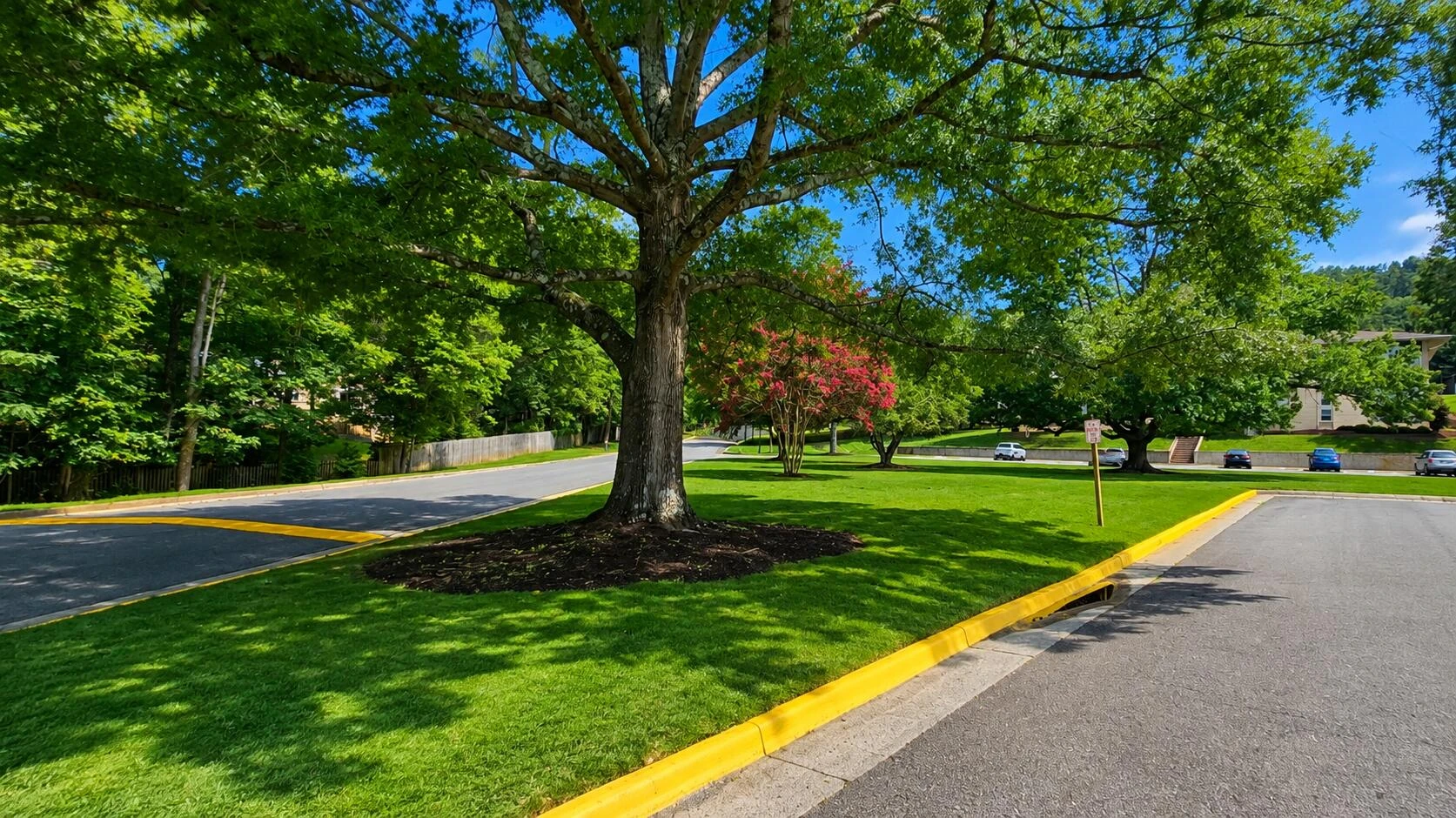5260 Crossbow CIR #17D - Photo 2