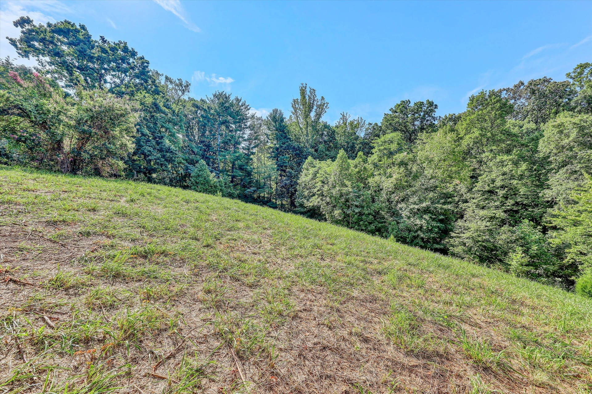 2735 FORK MOUNTAIN RD - Photo 23
