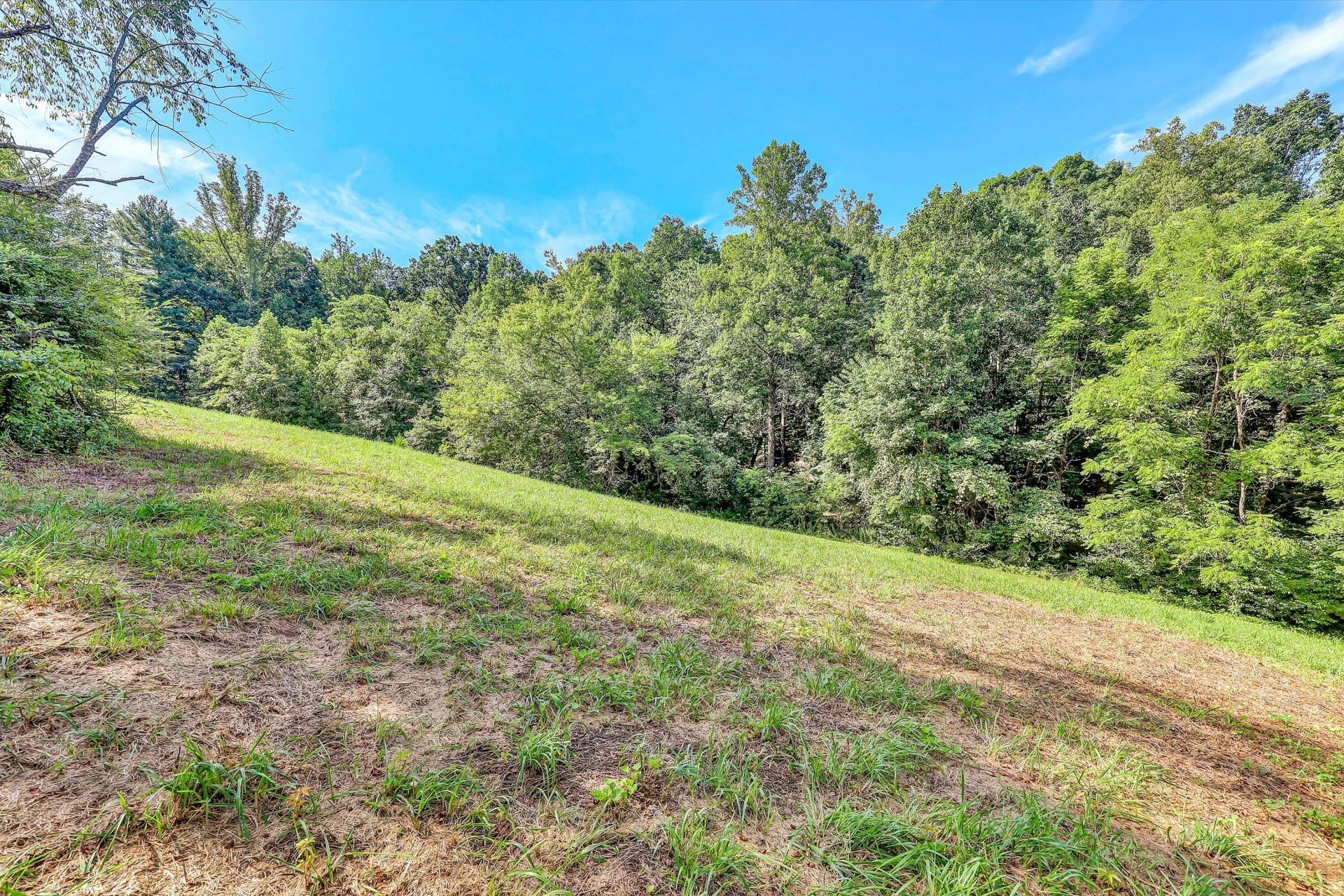 2735 FORK MOUNTAIN RD - Photo 24