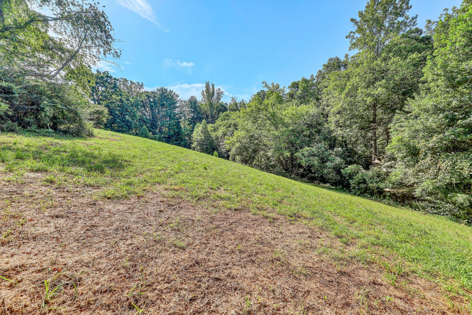 2735 FORK MOUNTAIN RD - Photo 25