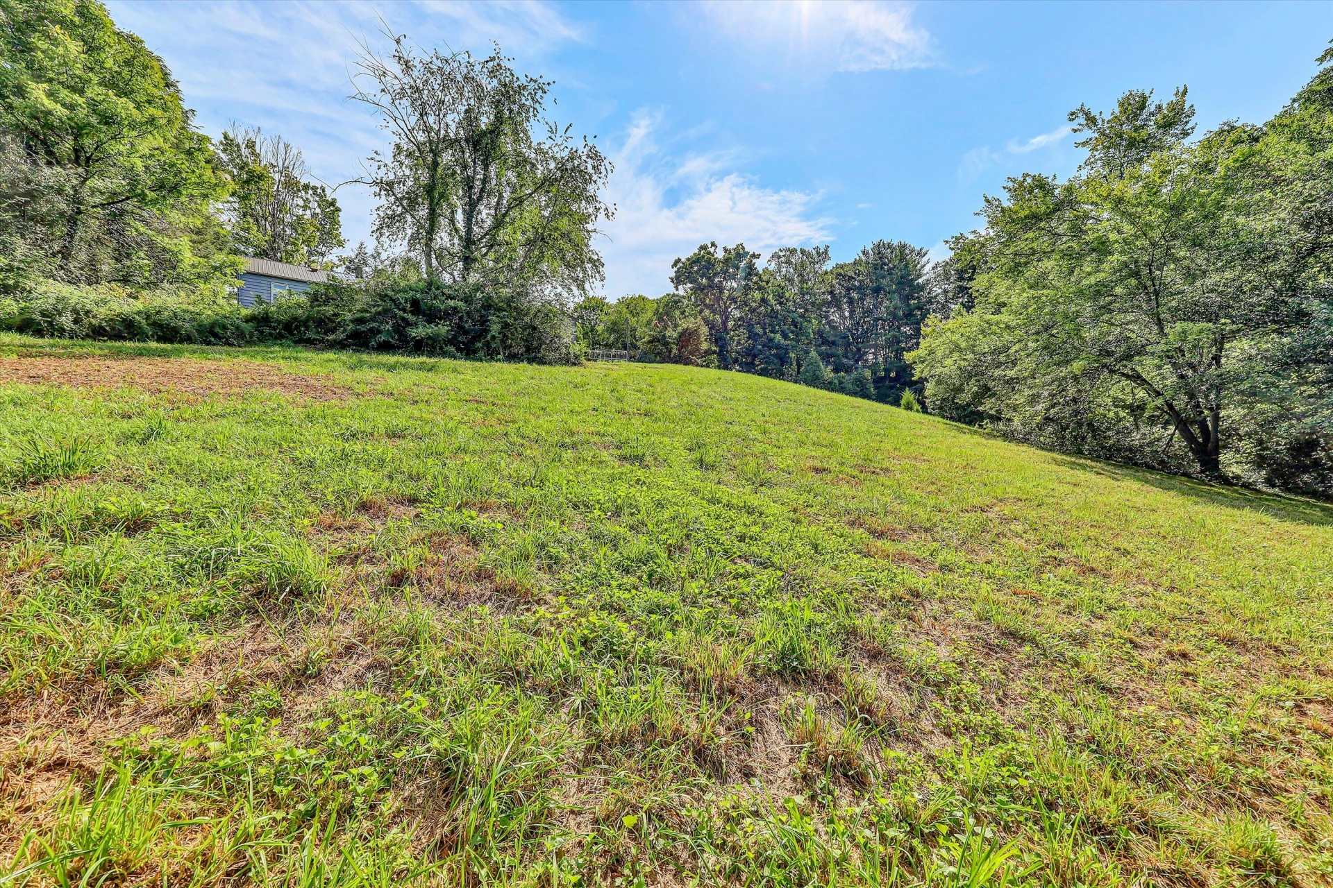 2735 FORK MOUNTAIN RD - Photo 26