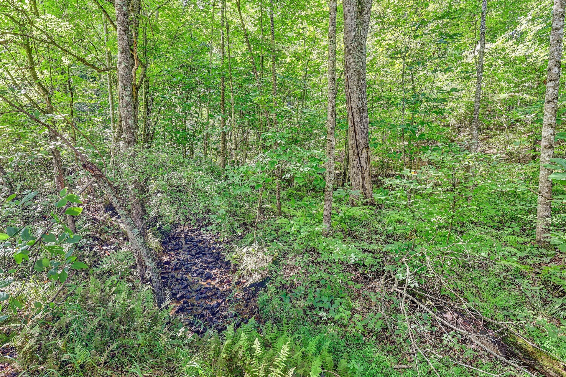 2735 FORK MOUNTAIN RD - Photo 27