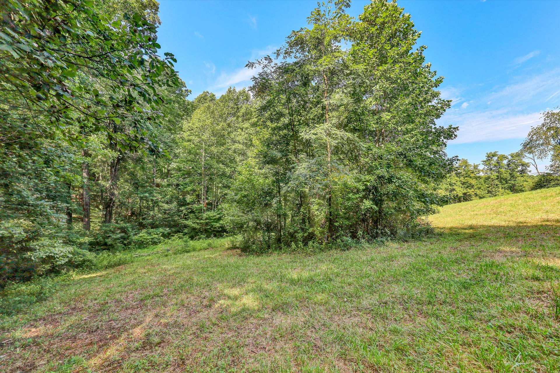 2735 FORK MOUNTAIN RD - Photo 28