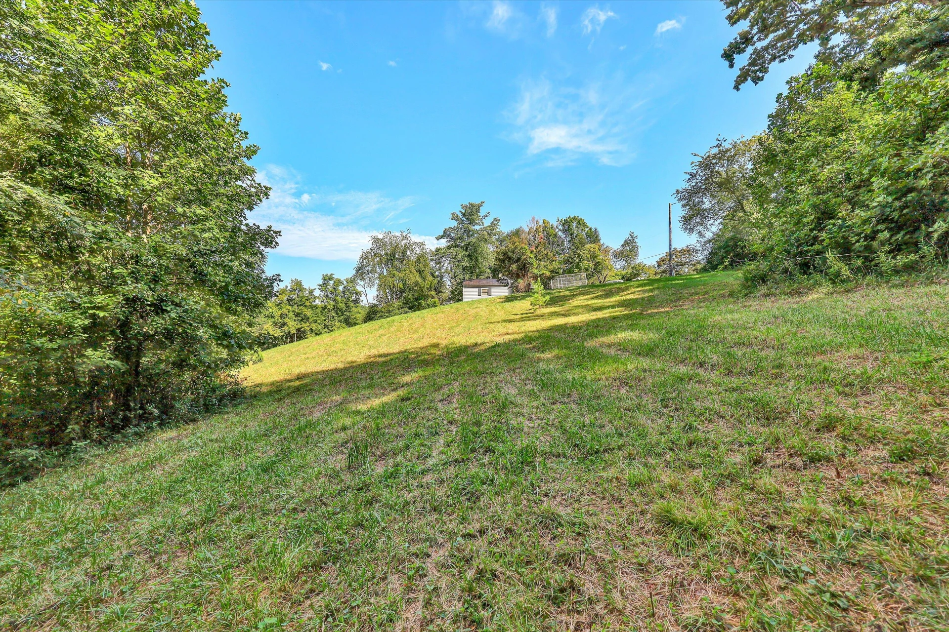 2735 FORK MOUNTAIN RD - Photo 29