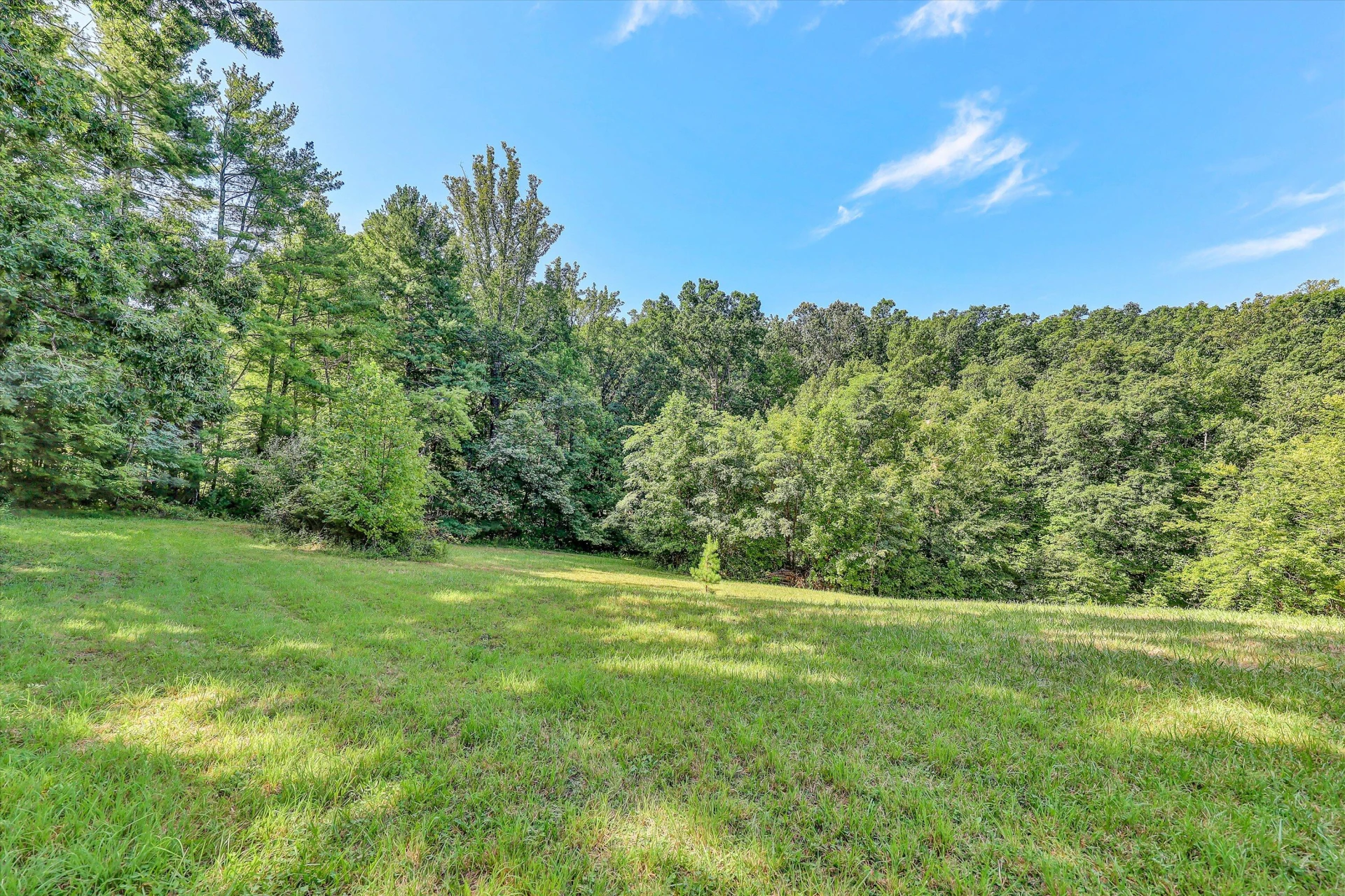 2735 FORK MOUNTAIN RD - Photo 32