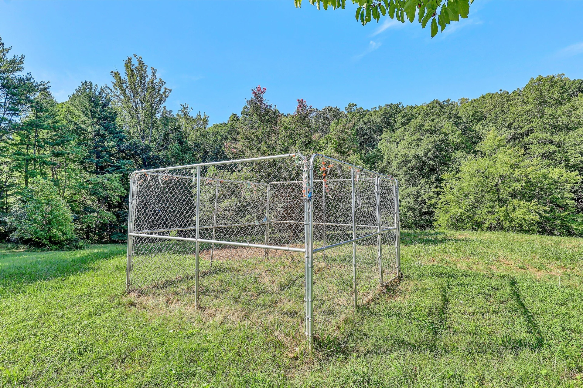 2735 FORK MOUNTAIN RD - Photo 34