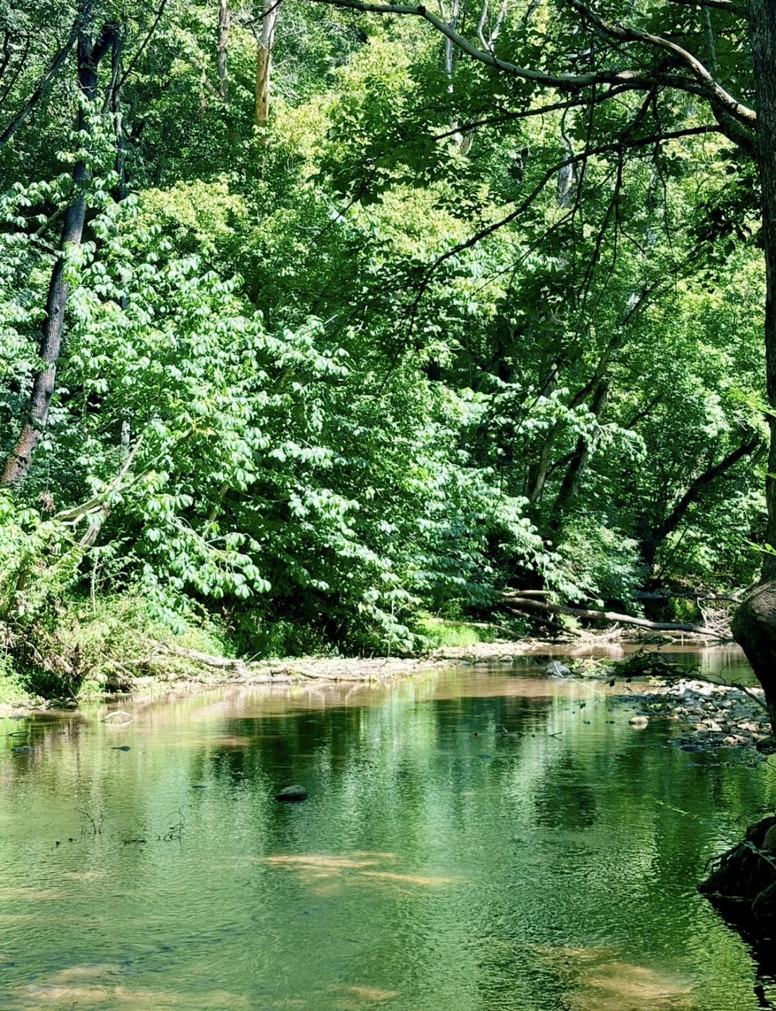 1084 Old Sessler Mill RD - Photo 23