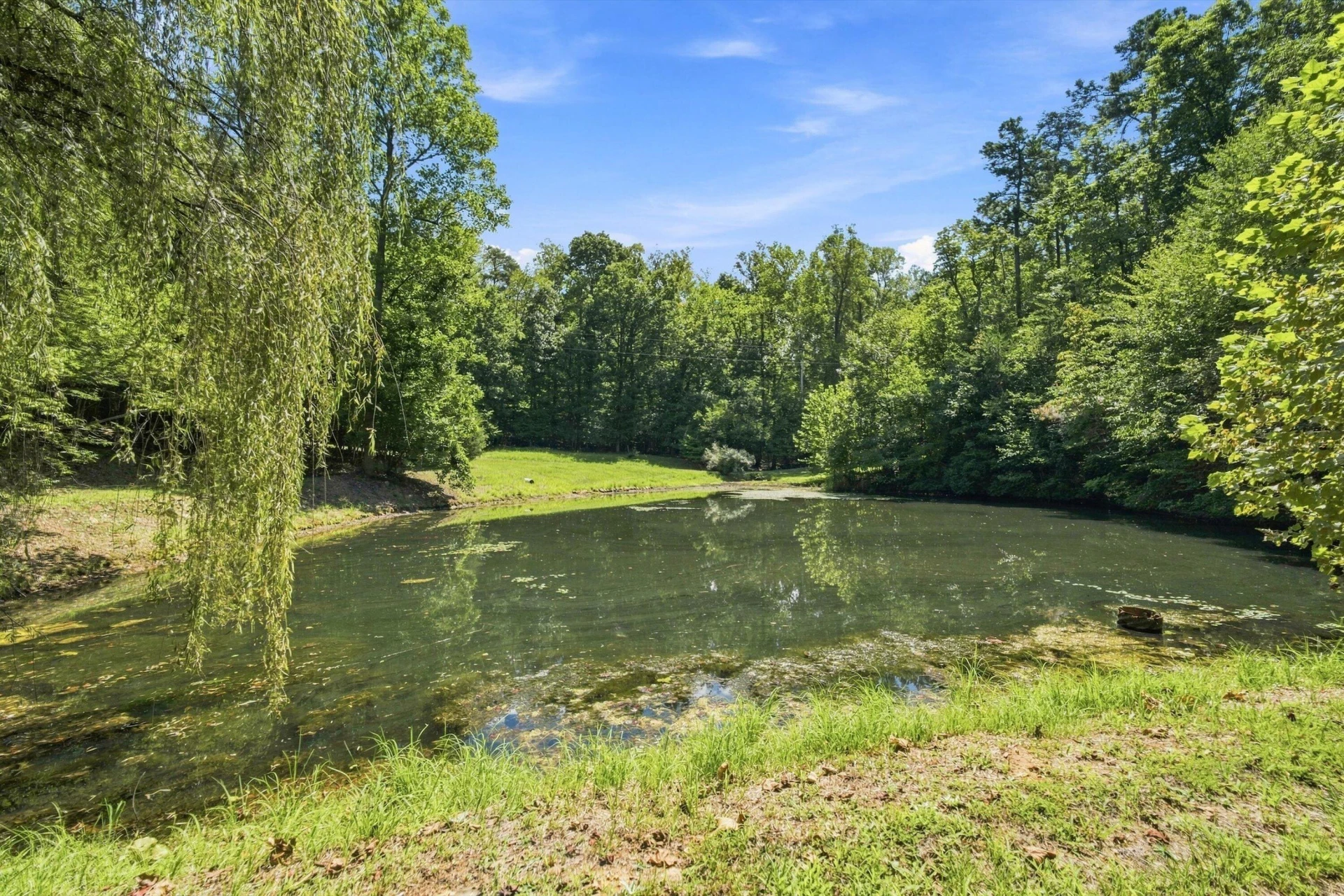175 Tracie DR - Photo 43