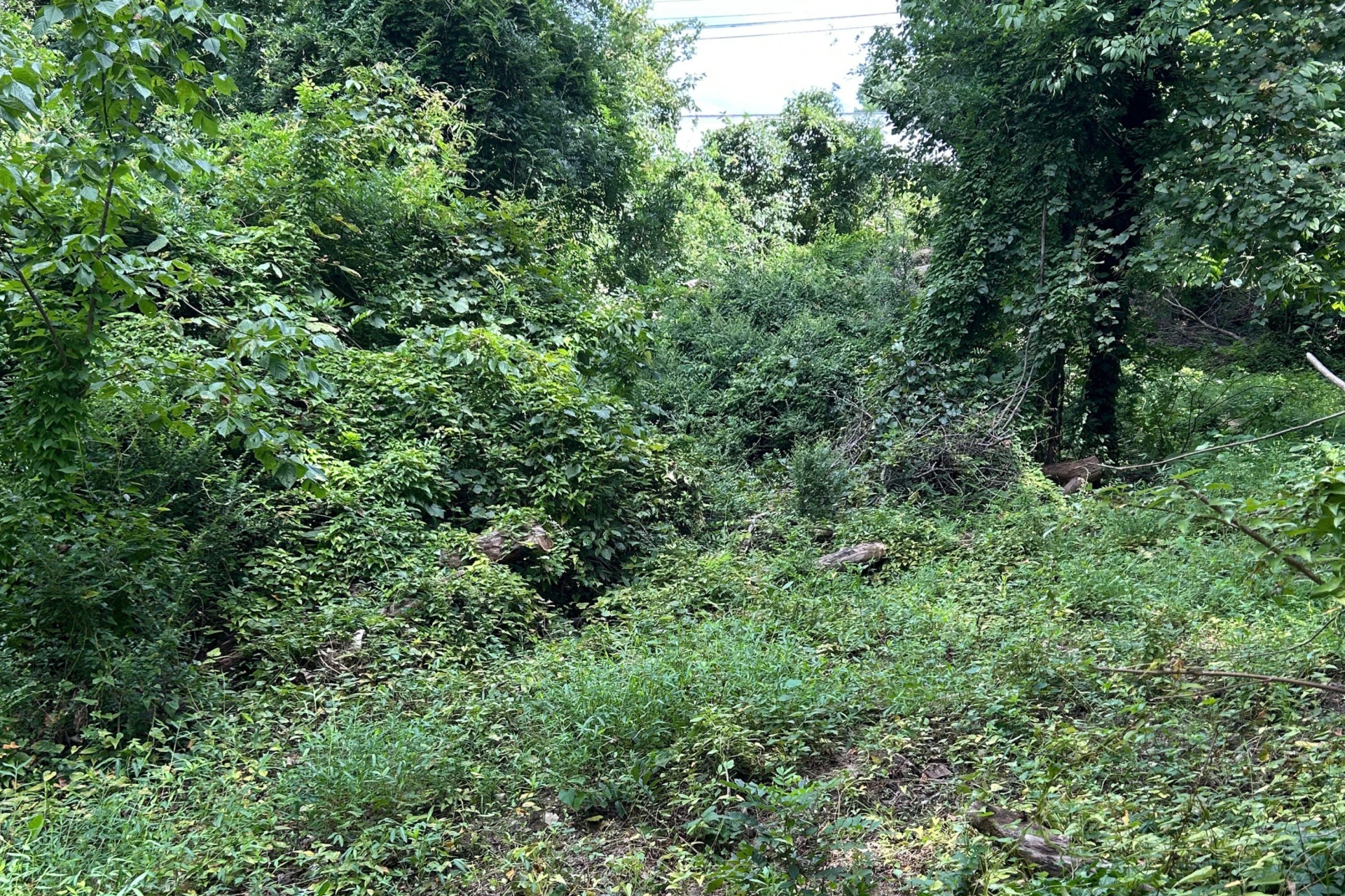 0 Brooke ST - Photo 3