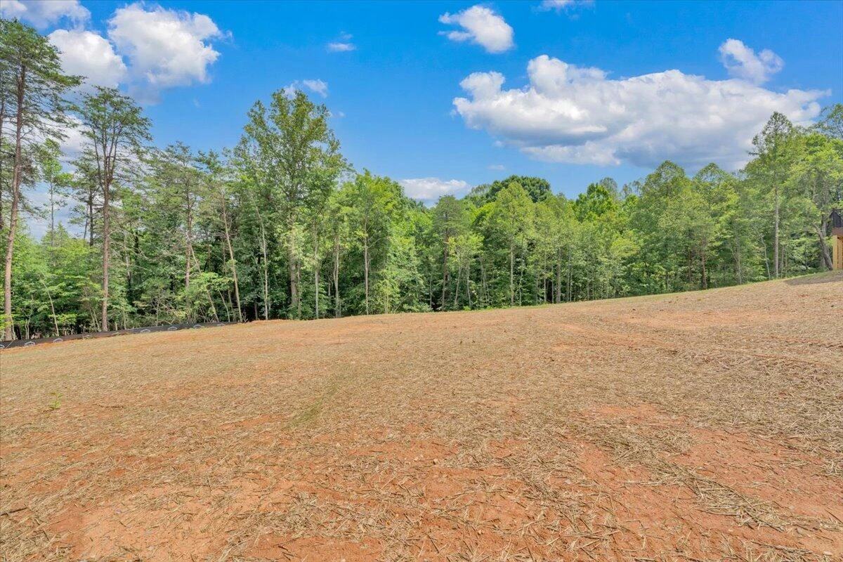 320 Windsor Castle DR - Photo 46