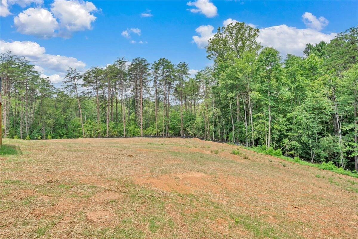 320 Windsor Castle DR - Photo 48