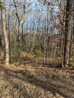0 Sunnycrest RD