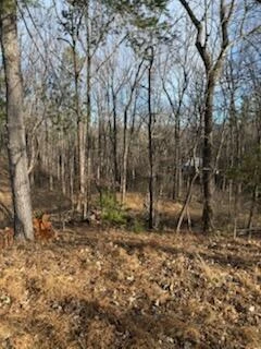0 Sunnycrest RD - Photo 2