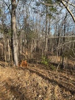 0 Sunnycrest RD - Photo 3