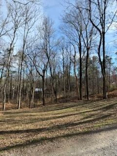 0 Sunnycrest RD - Photo 4