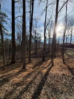 0 Sunnycrest RD - Photo 6