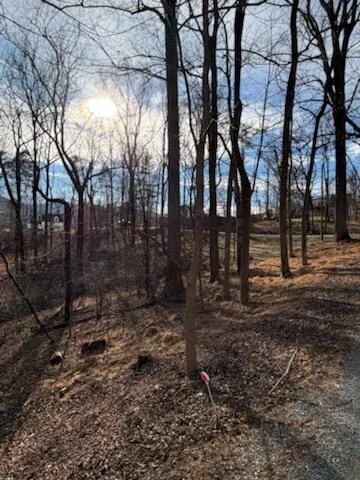 0 Sunnycrest RD - Photo 7