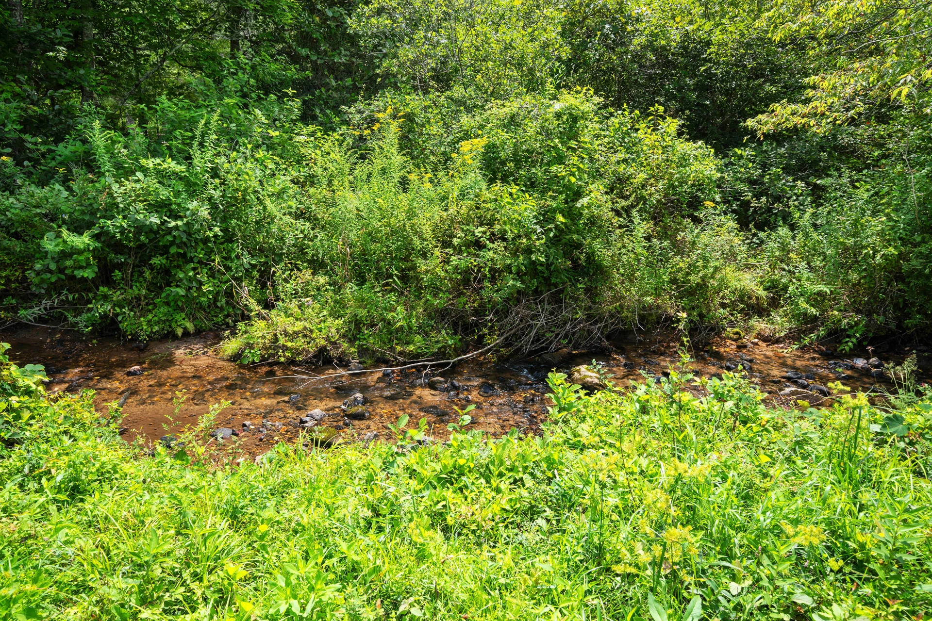 1591 Moles RD SW - Photo 74