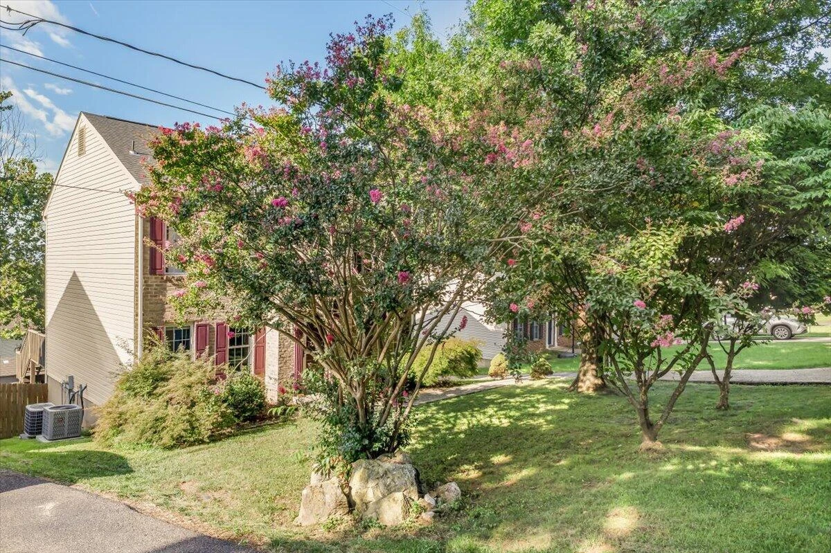 1575 Read Mountain RD NE - Photo 3