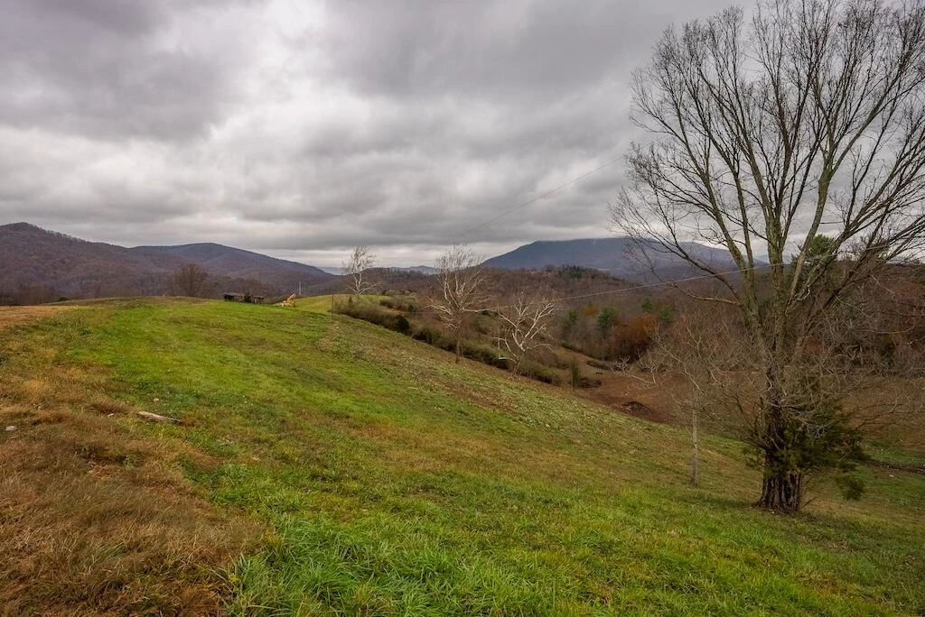 Lot 1 Curve RD - Photo 20