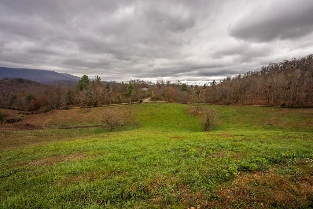 Lot 1 Curve RD - Photo 22