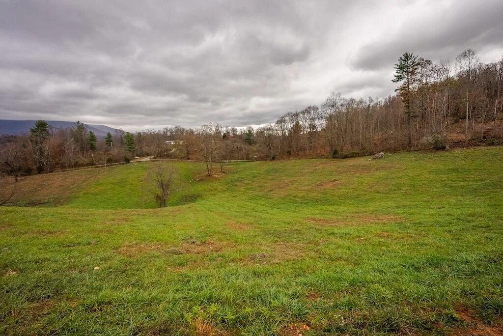 Lot 1 Curve RD - Photo 27
