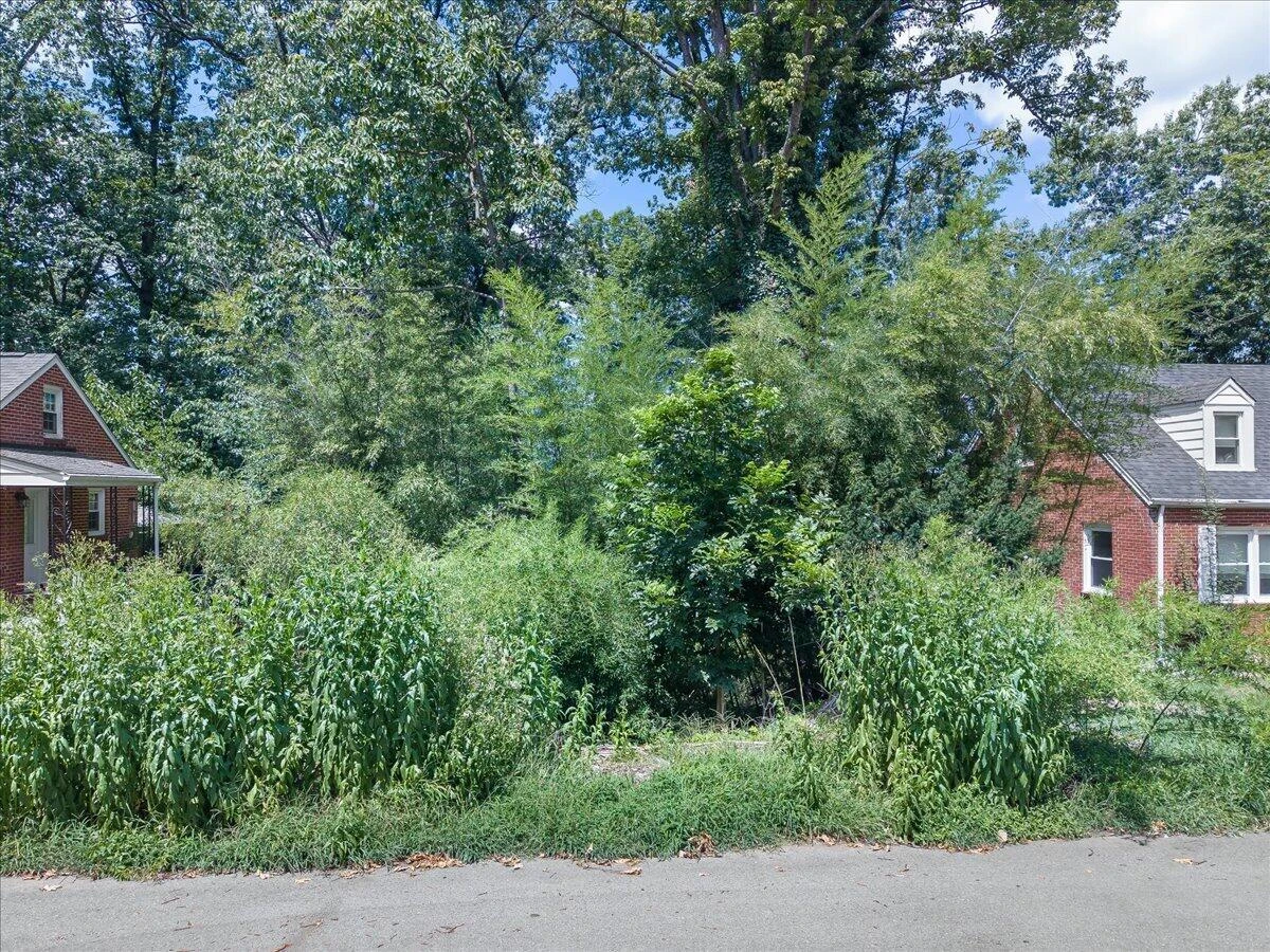 0 Hollowell AVE SW - Photo 3