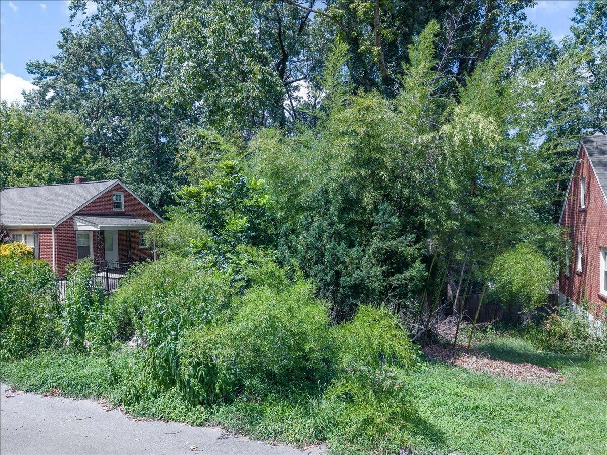 0 Hollowell AVE SW - Photo 4