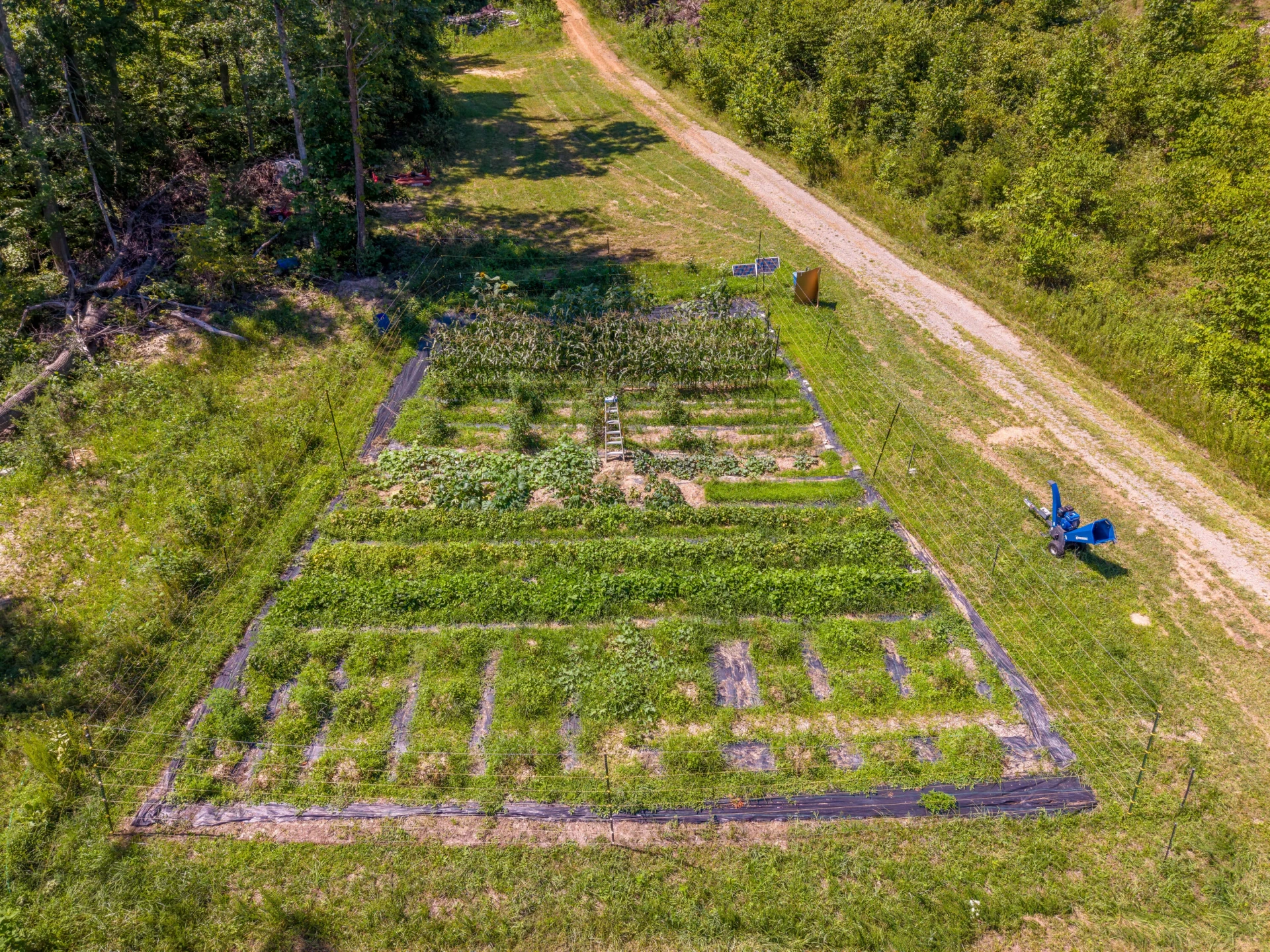 5809 Twine Hollow RD - Photo 46