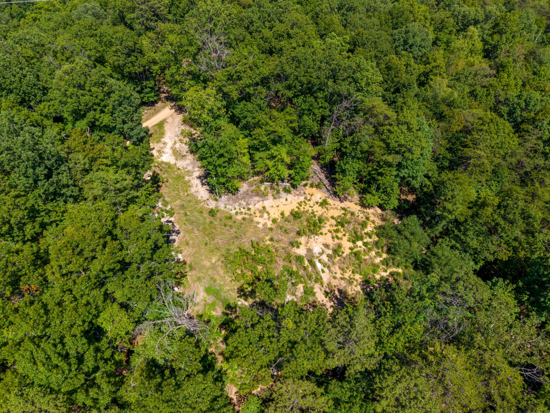5809 Twine Hollow RD - Photo 50