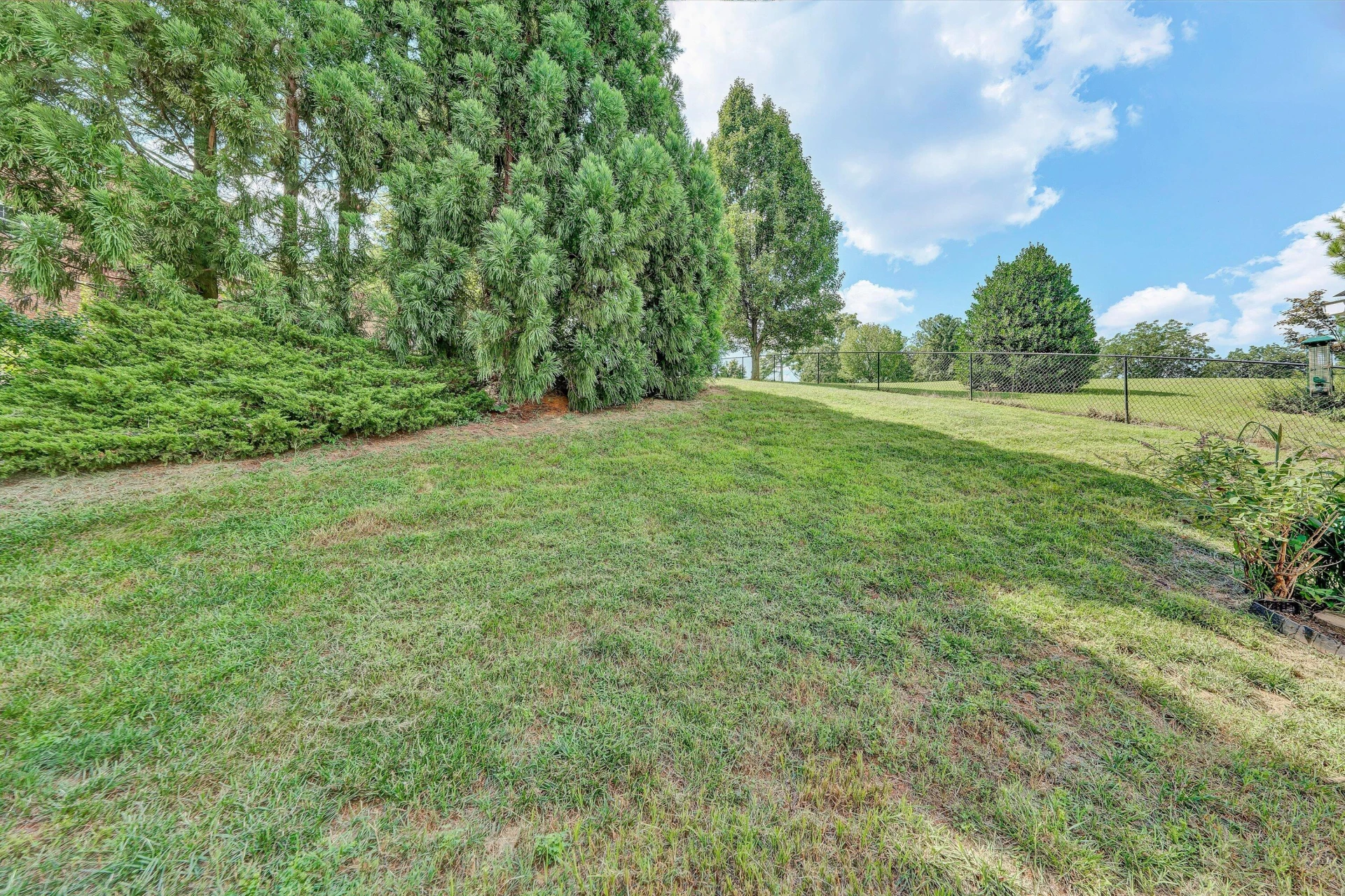 1235 Mountain View RD - Photo 33