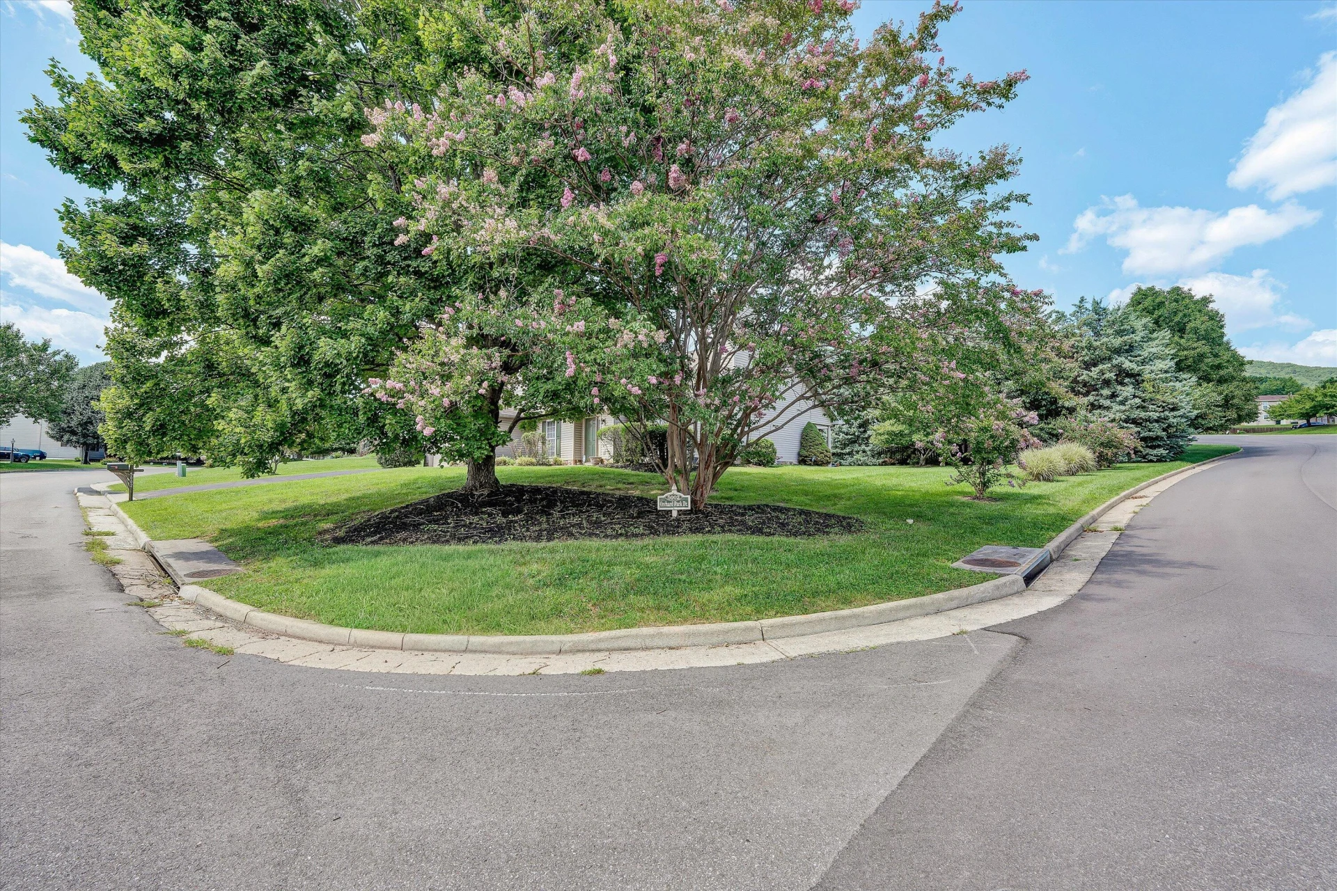 5002 Orchard Park DR - Photo 4