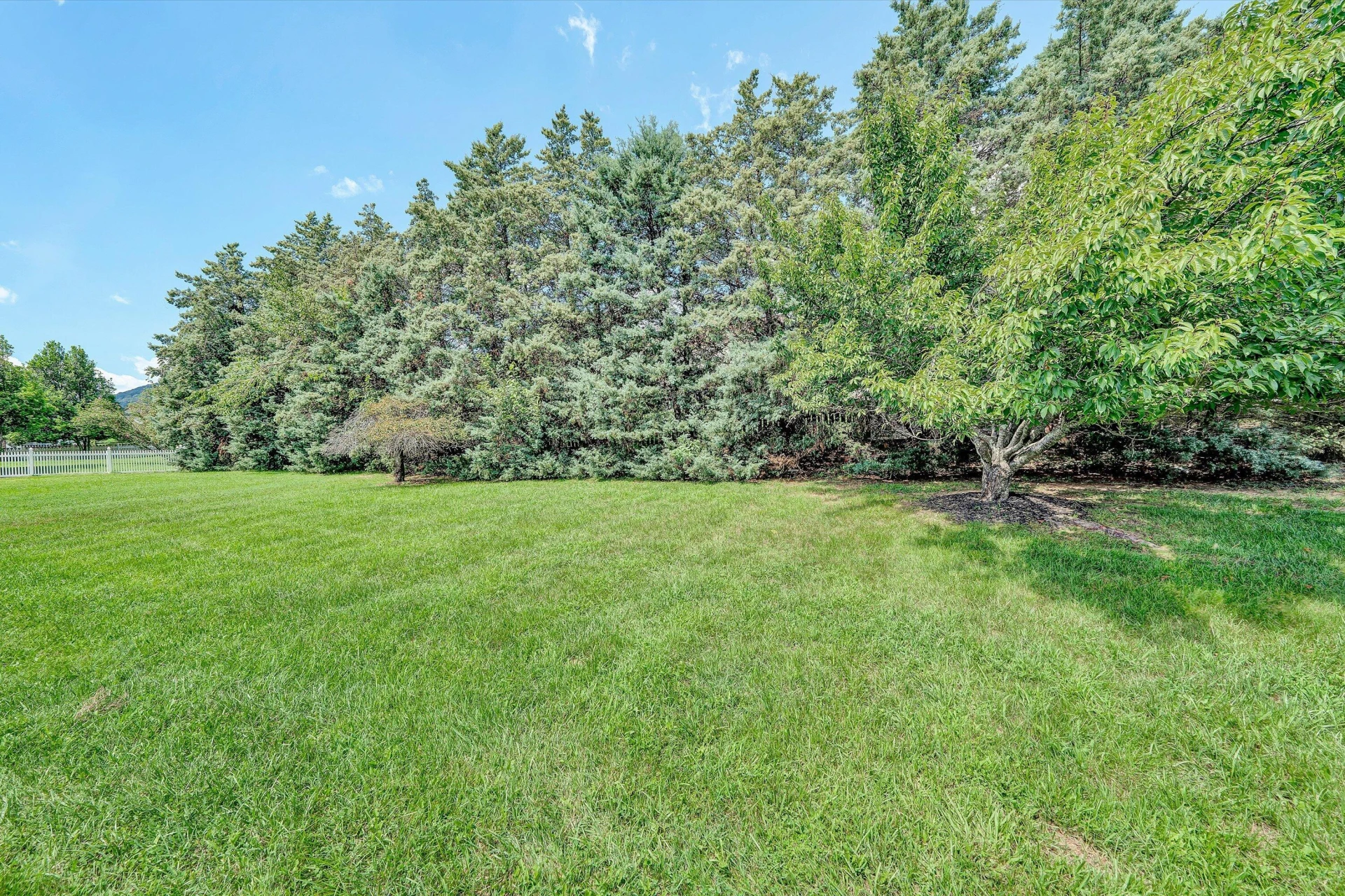 5002 Orchard Park DR - Photo 27