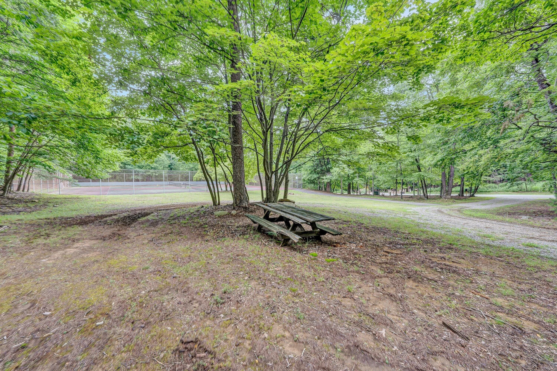 291 Windridge PKWY - Photo 47