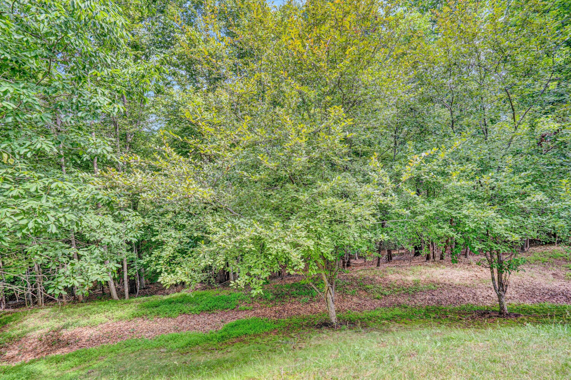 131 STONEY MILL RD - Photo 34