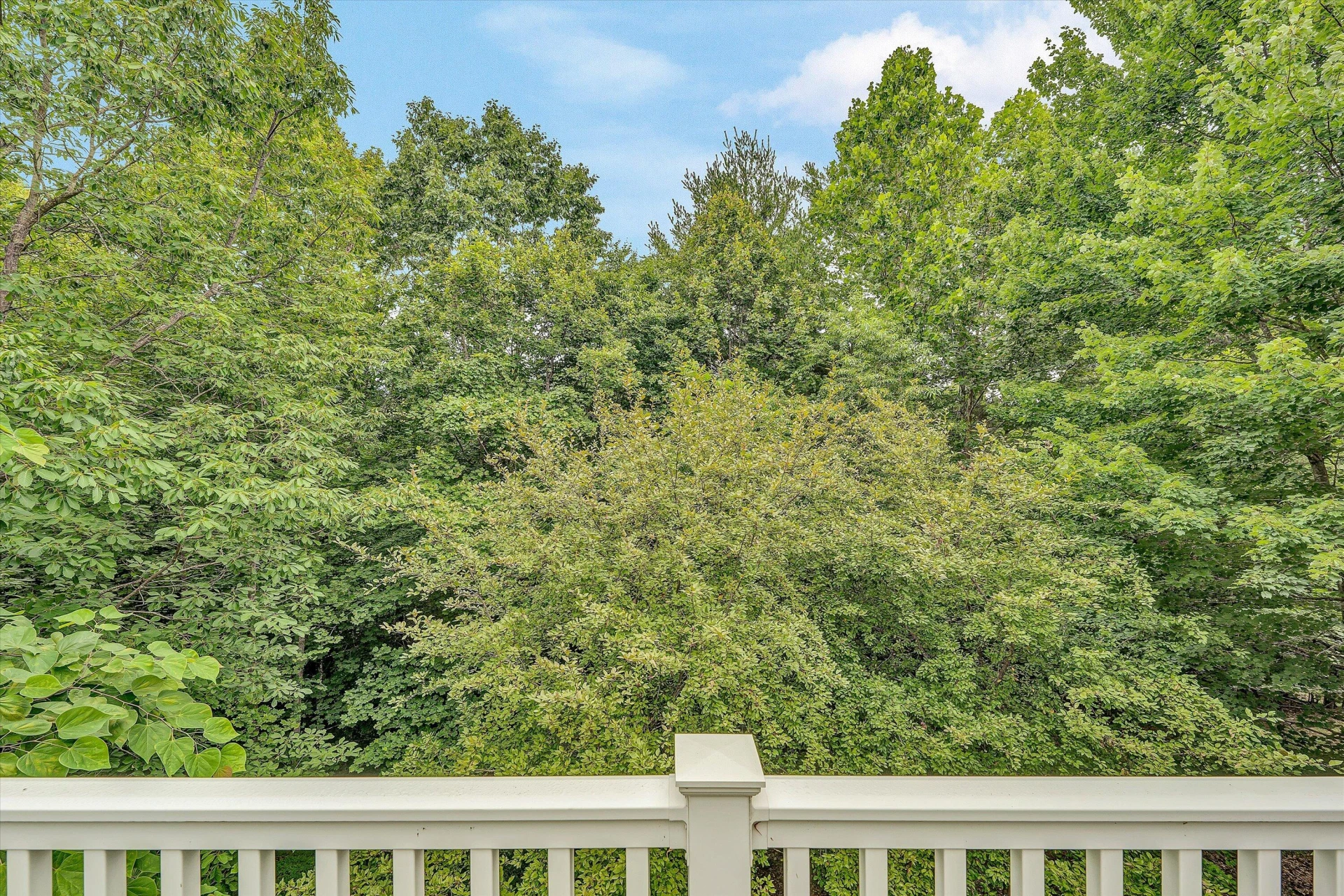 131 STONEY MILL RD - Photo 43